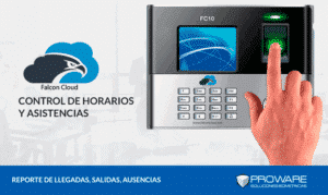 reporte llegadas falconcloud