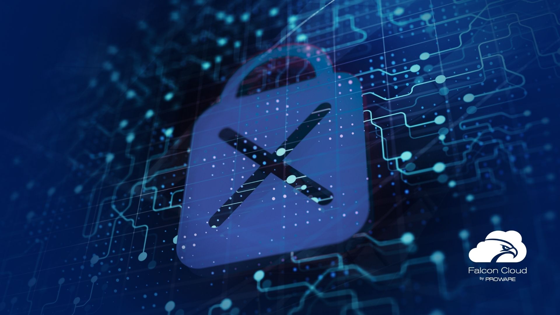 Fallas recurrentes en el control de acceso