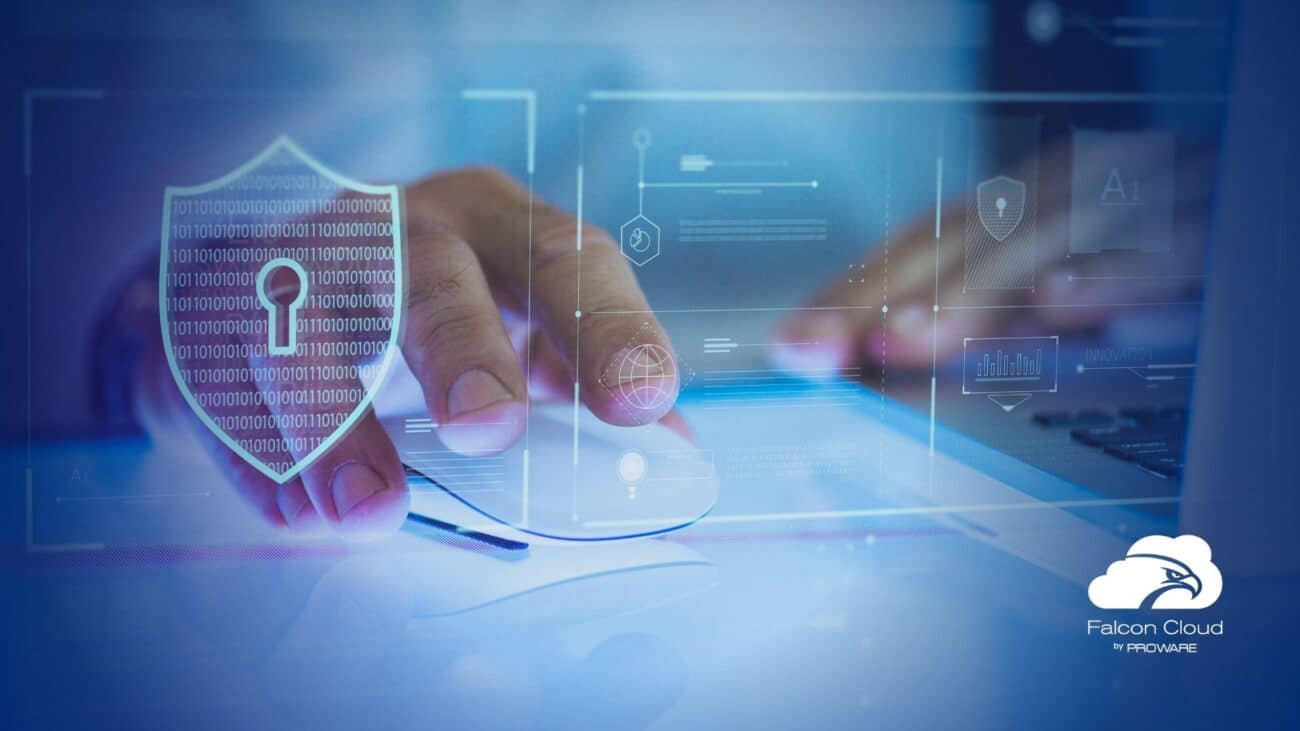 software control de visitantes