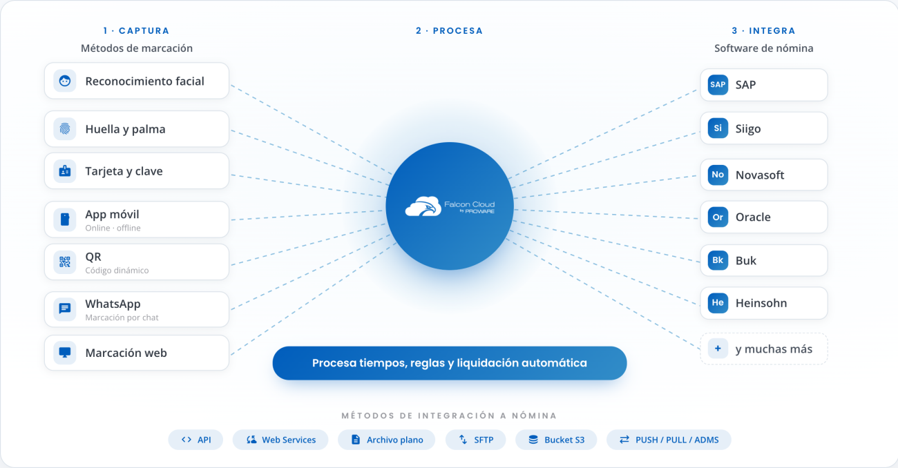 Esquema Marcacion a Nomina selection